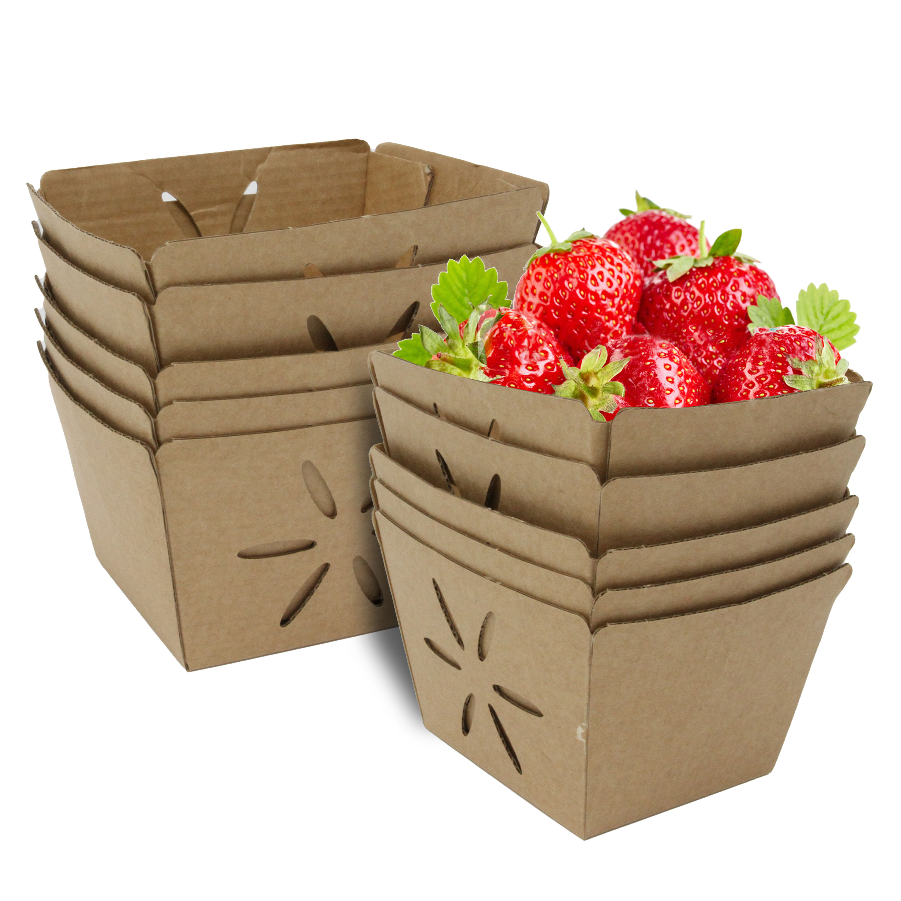 Eco Friendly Containers